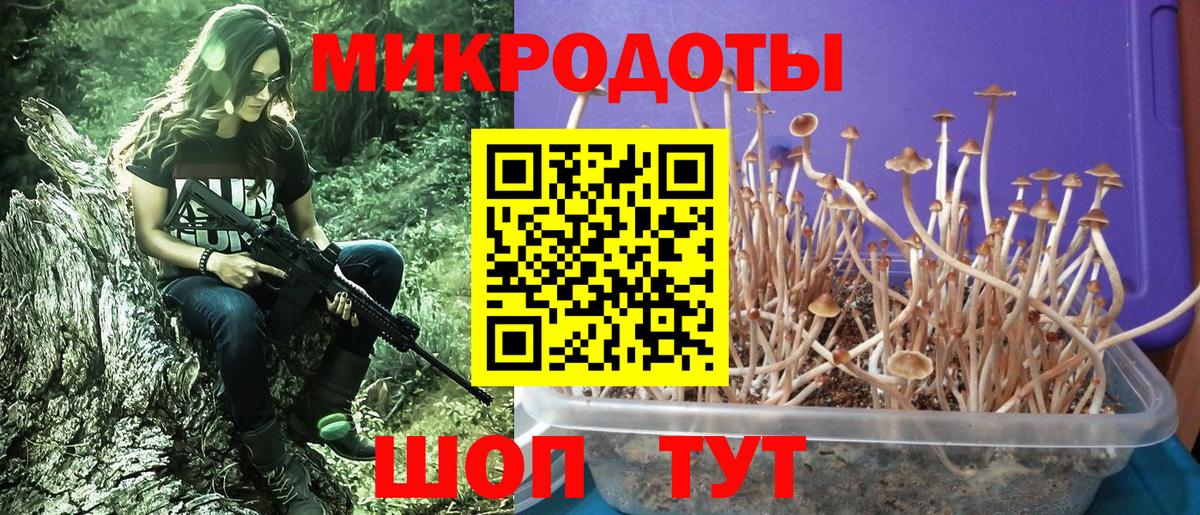 Псилоцибиновые грибы ЛСД Стрежевой